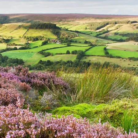 Mariners Hall - Elegant Close To Town Centre