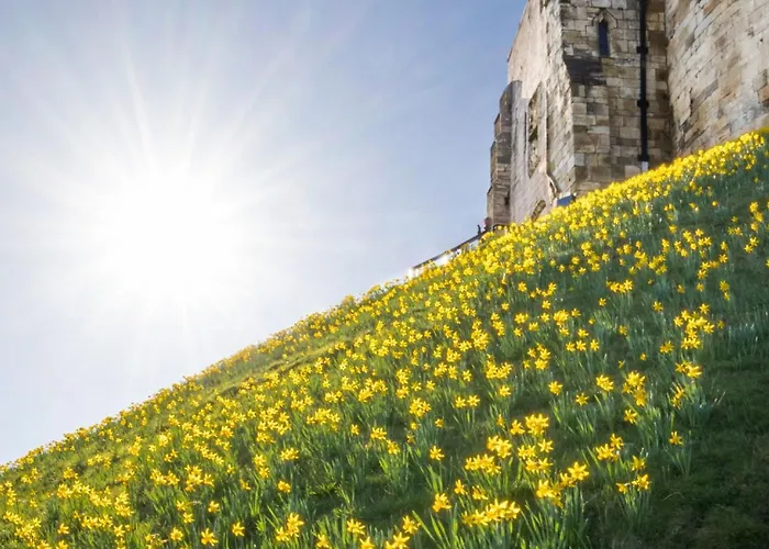 Mariners Hall - Elegant Close To Town Centre Casa de Férias